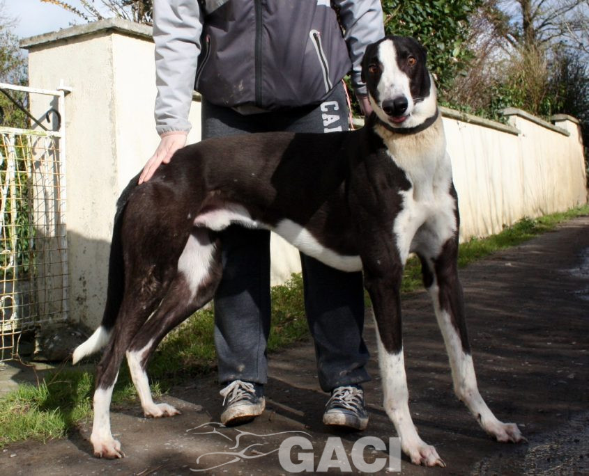 LEGO - 19-09-2017 - M (6)