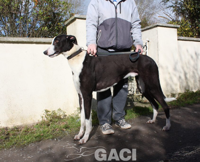 LEGO - 19-09-2017 - M (7)