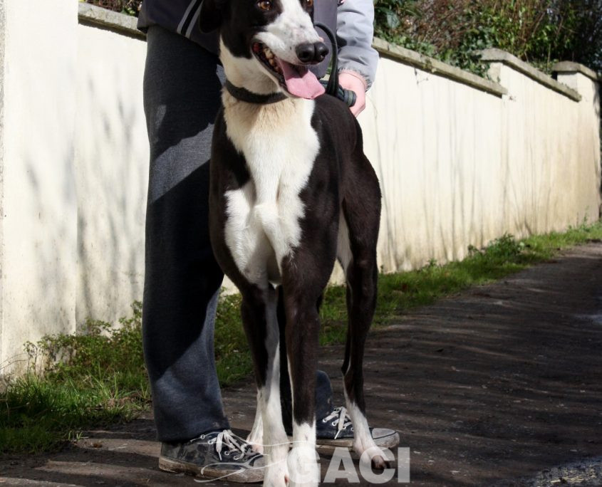 LEGO - 19-09-2017 - M (8)