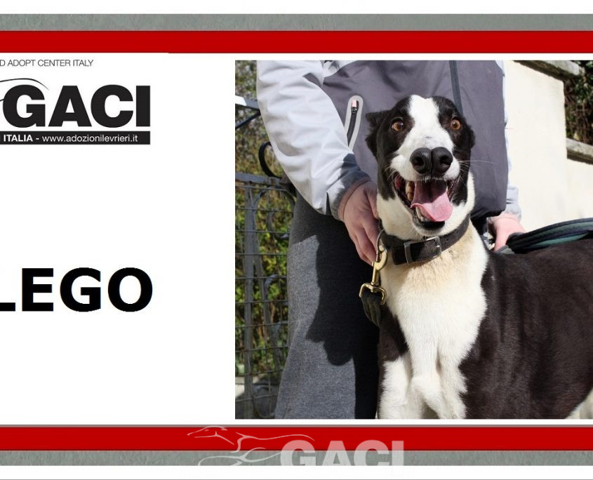 LEGO - 19-09-2017 - M (9)