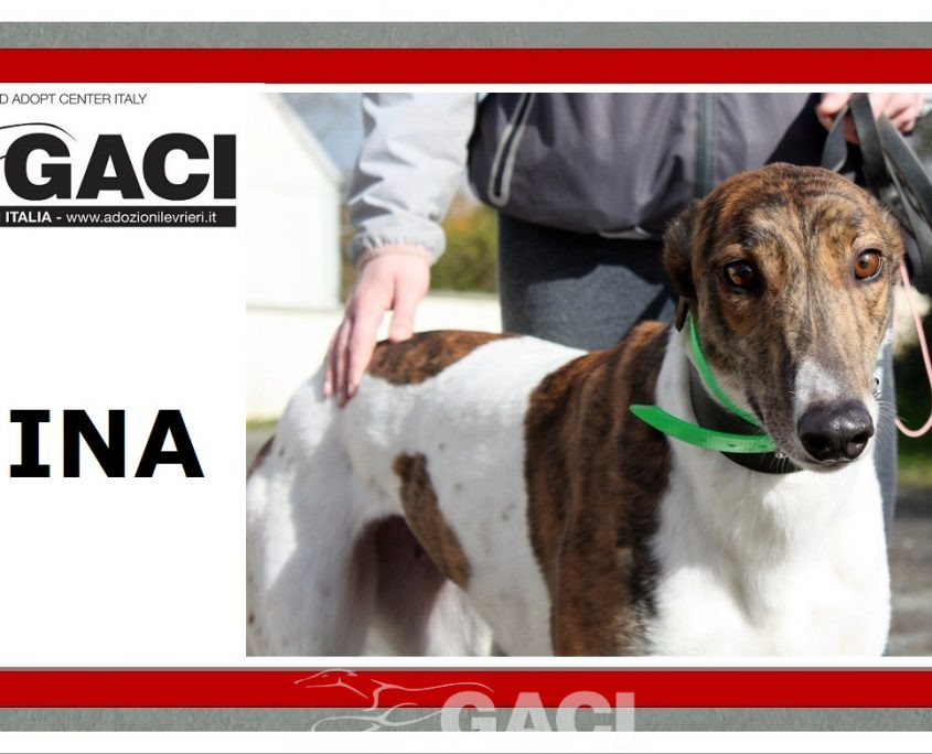 MINA - 17-01-2017 (9)