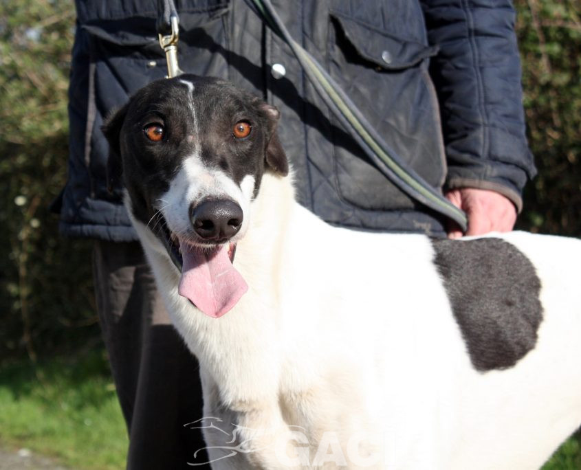 MORGAN - 27-09-17 - M (1)