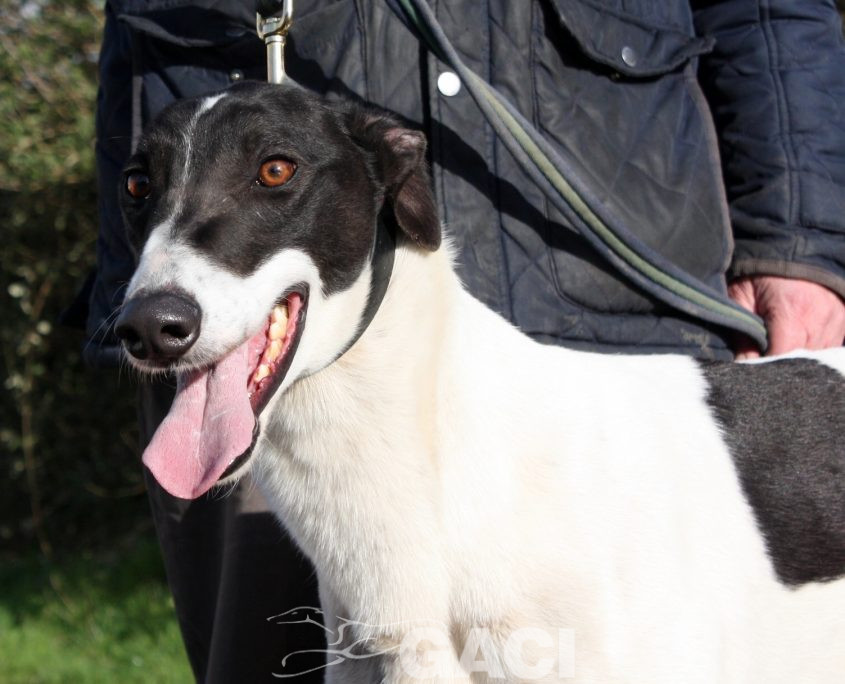 MORGAN - 27-09-17 - M (7)