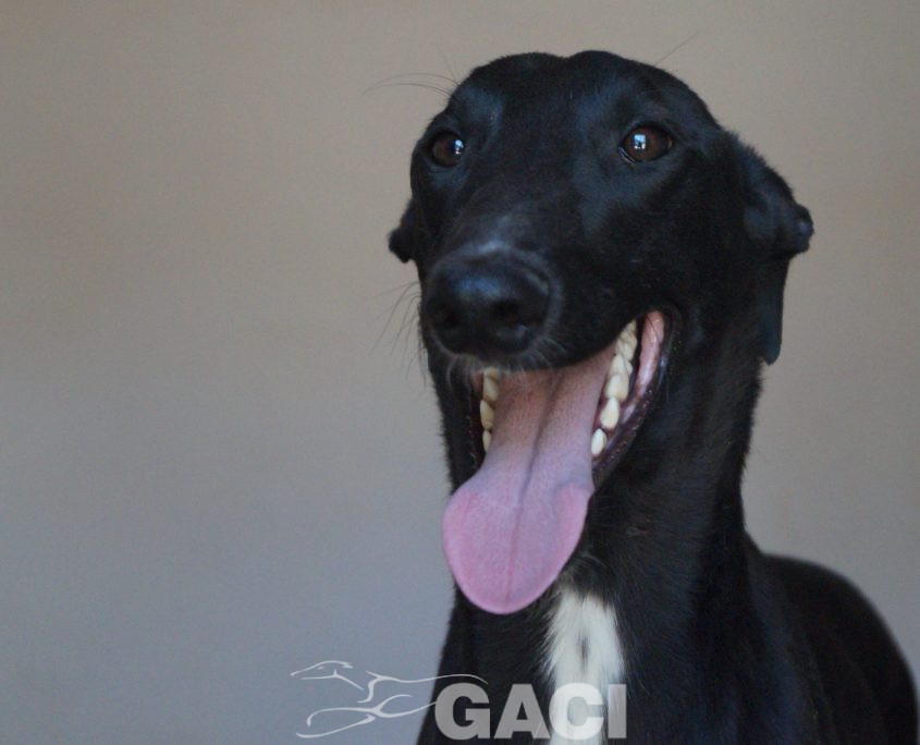 MARIO NUEVAS FOTOS (1)