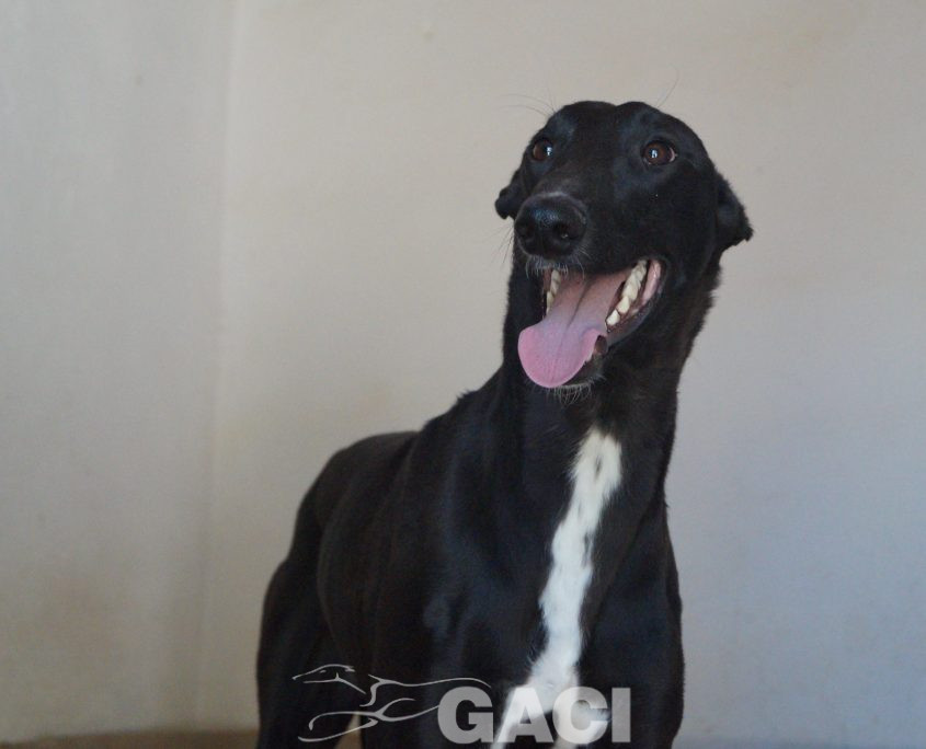 MARIO NUEVAS FOTOS (4)