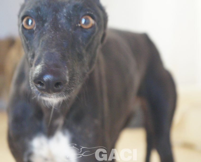 MORA NUEVAS FOTOS (6)