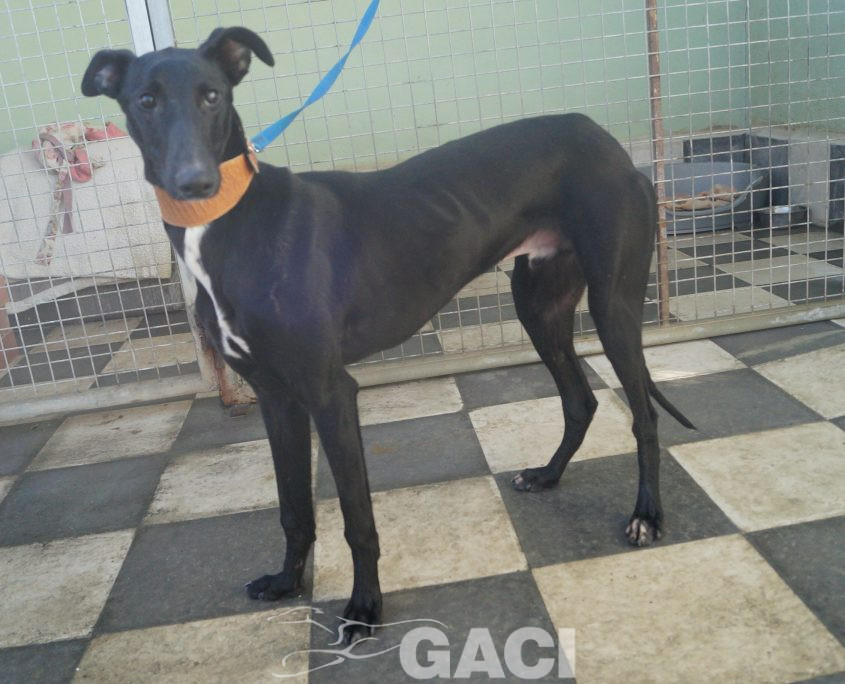 P190219_02 MARIO M2 (5)