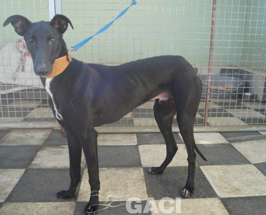 P190219_02 MARIO M2 (6)