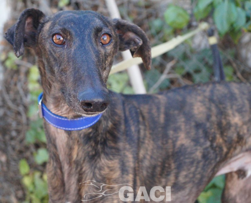 P190327_03 HIPO M2 (7)