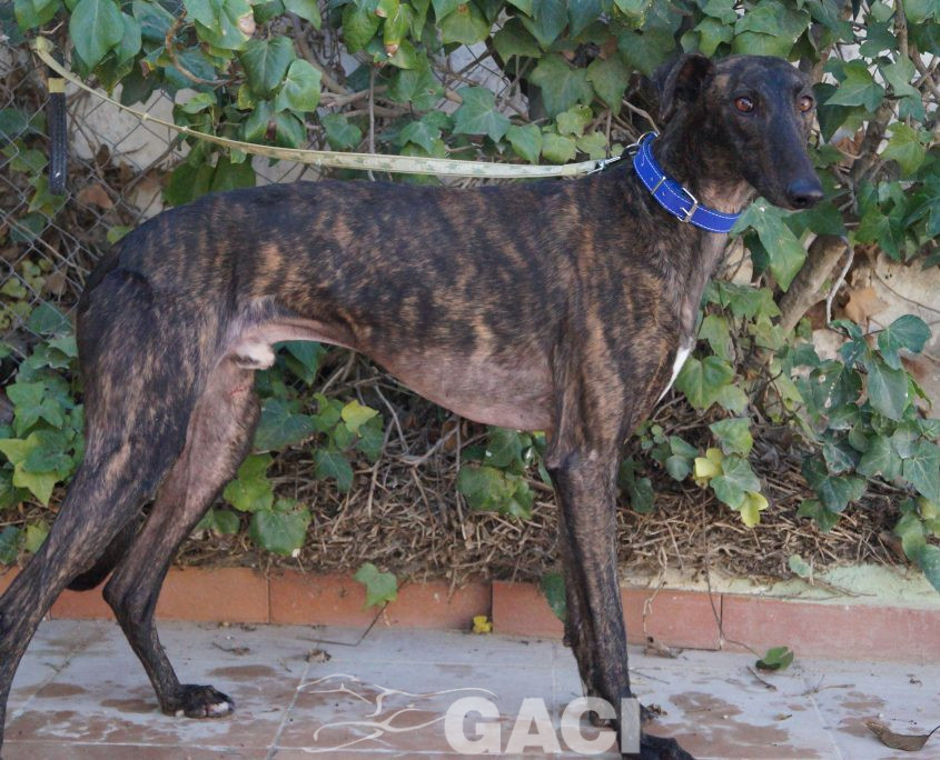 P190327_03 HIPO M2 (8)