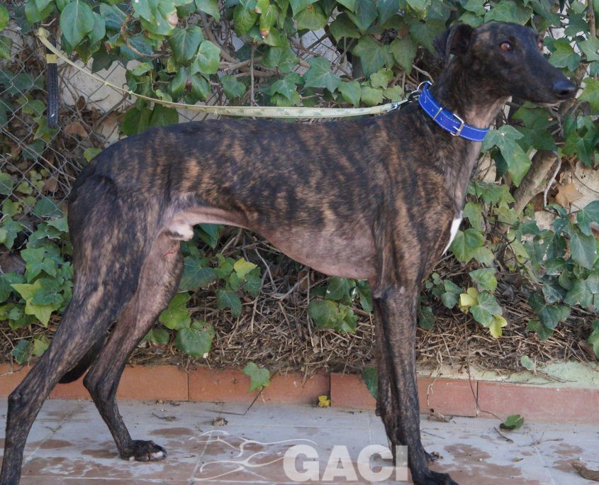 P190327_03 HIPO M2 (9)