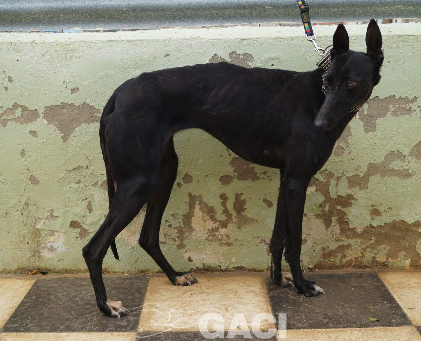 P190422_01 MORA H1 941000023194273 CEDIDA (10)