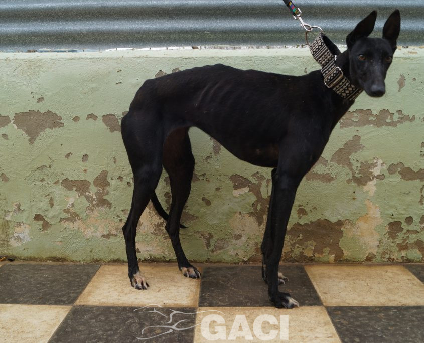 P190422_01 MORA H1 941000023194273 CEDIDA (4)