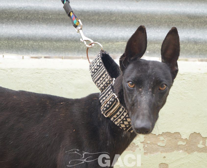 P190422_01 MORA H1 941000023194273 CEDIDA (6)