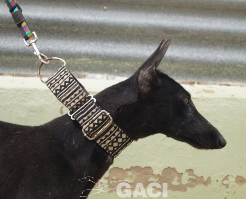 P190422_01 MORA H1 941000023194273 CEDIDA (8)