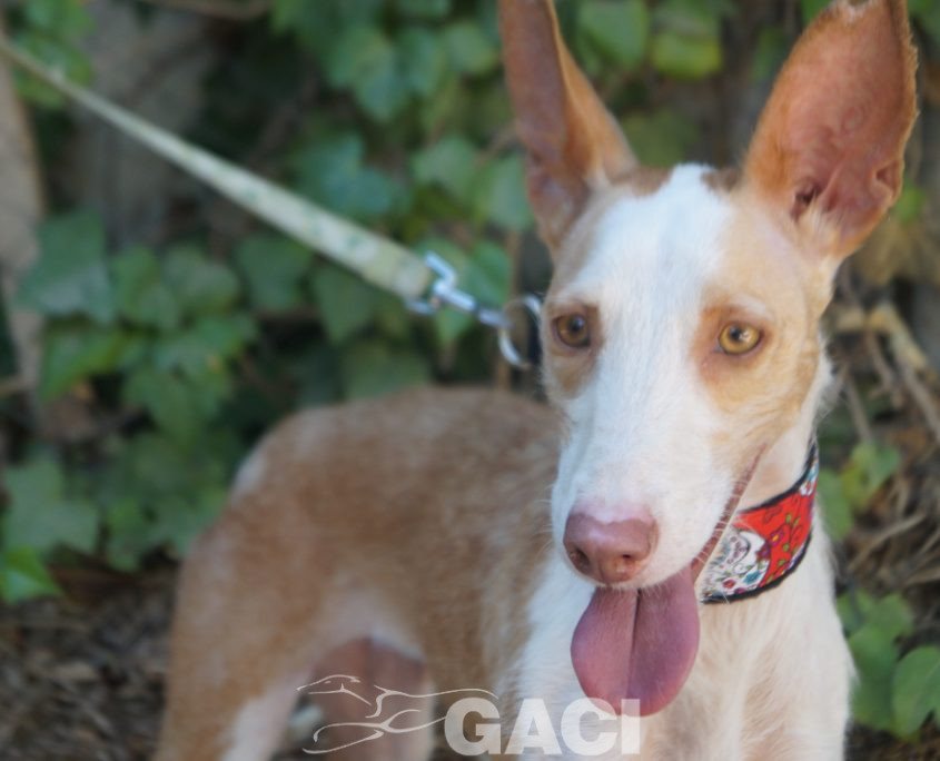 GIULIA NUEVAS FOTOS (1)