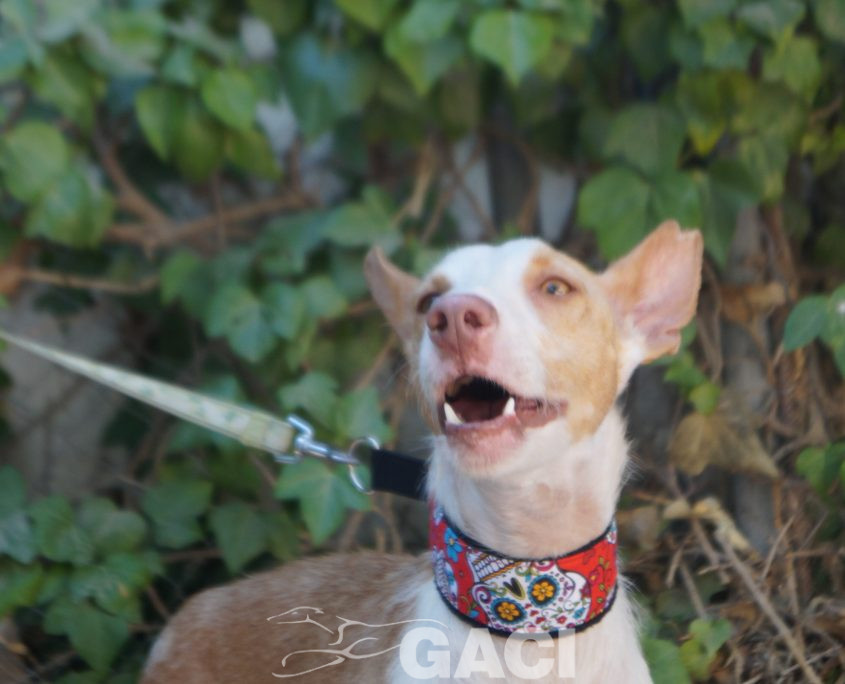 GIULIA NUEVAS FOTOS (10)