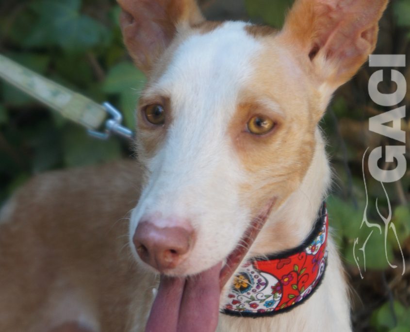 GIULIA NUEVAS FOTOS (2)