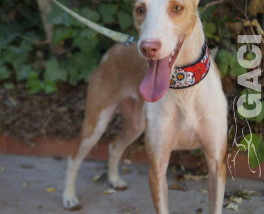 GIULIA NUEVAS FOTOS (4)