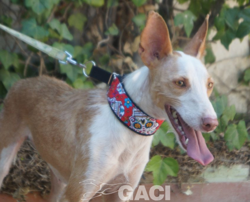 GIULIA NUEVAS FOTOS (7)