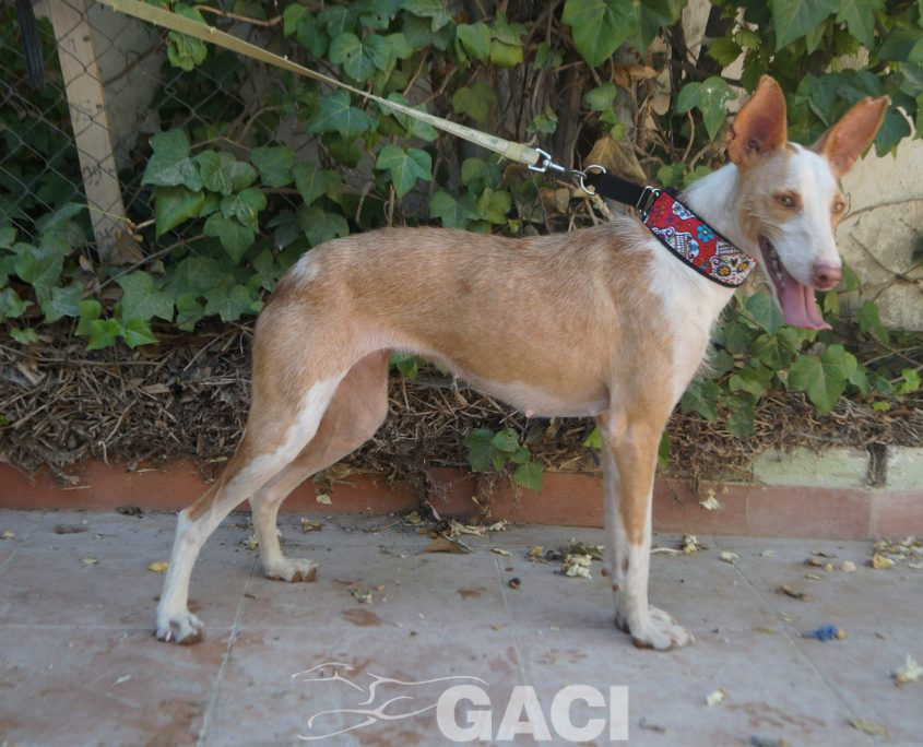 GIULIA NUEVAS FOTOS (9)