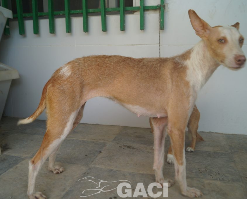 P190812_02 GIULIA H3 (10)