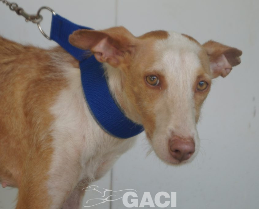 P190812_02 GIULIA H3 (2)