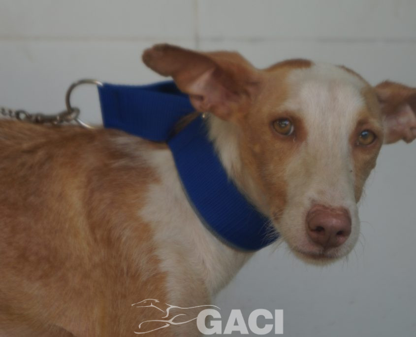 P190812_02 GIULIA H3 (3)