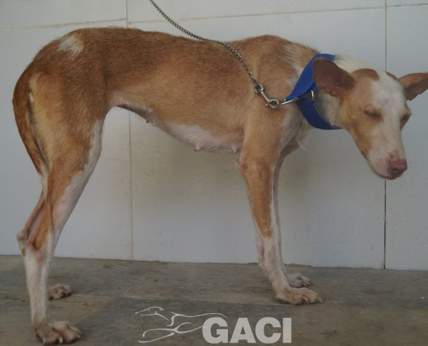 P190812_02 GIULIA H3 (9)