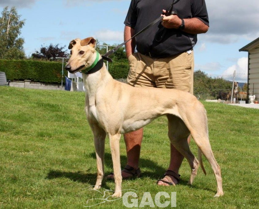 CAROL - 18-06-2017 - F (10)