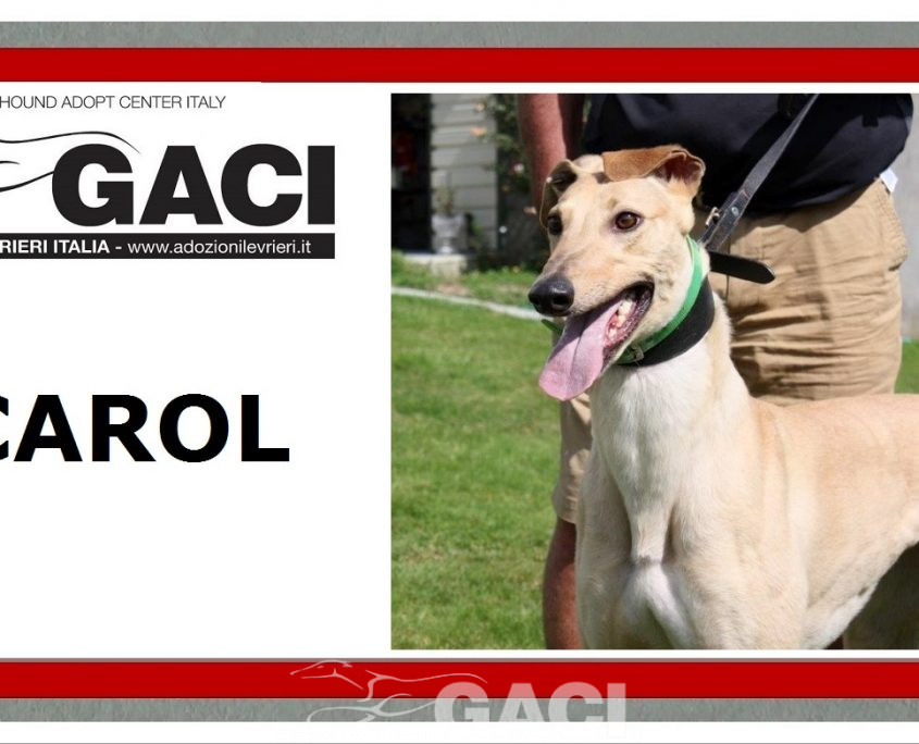 CAROL - 18-06-2017 - F (11)