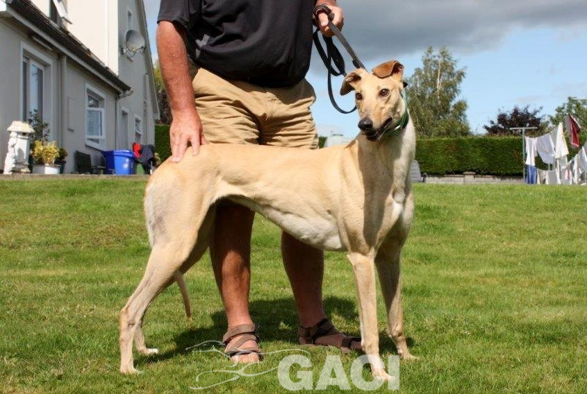 CAROL - 18-06-2017 - F (3)