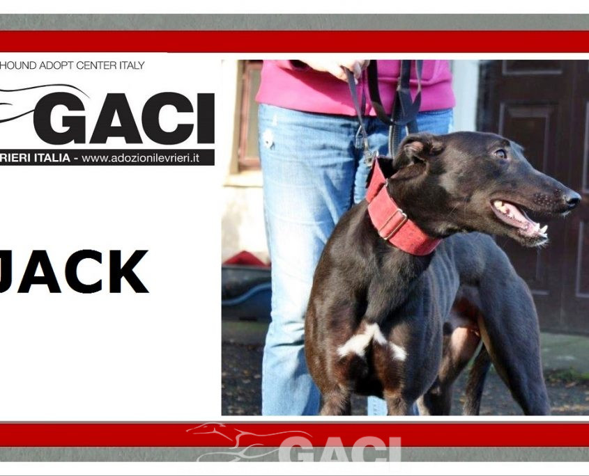 JACK- 02-12-2017- M- (11)