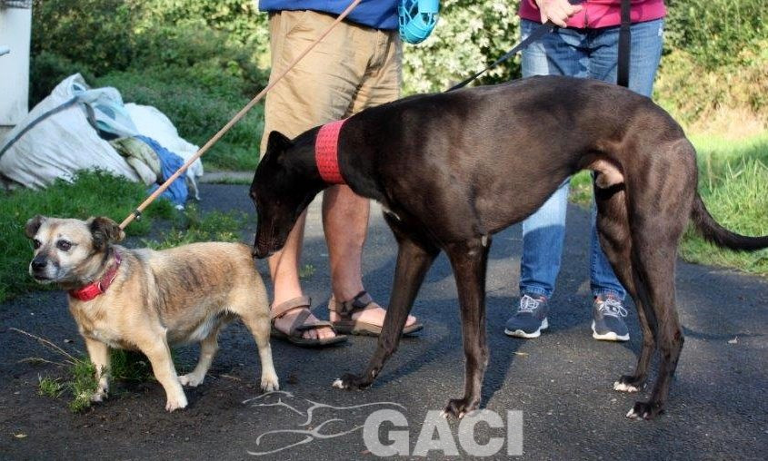 JACK- 02-12-2017- M- (8)