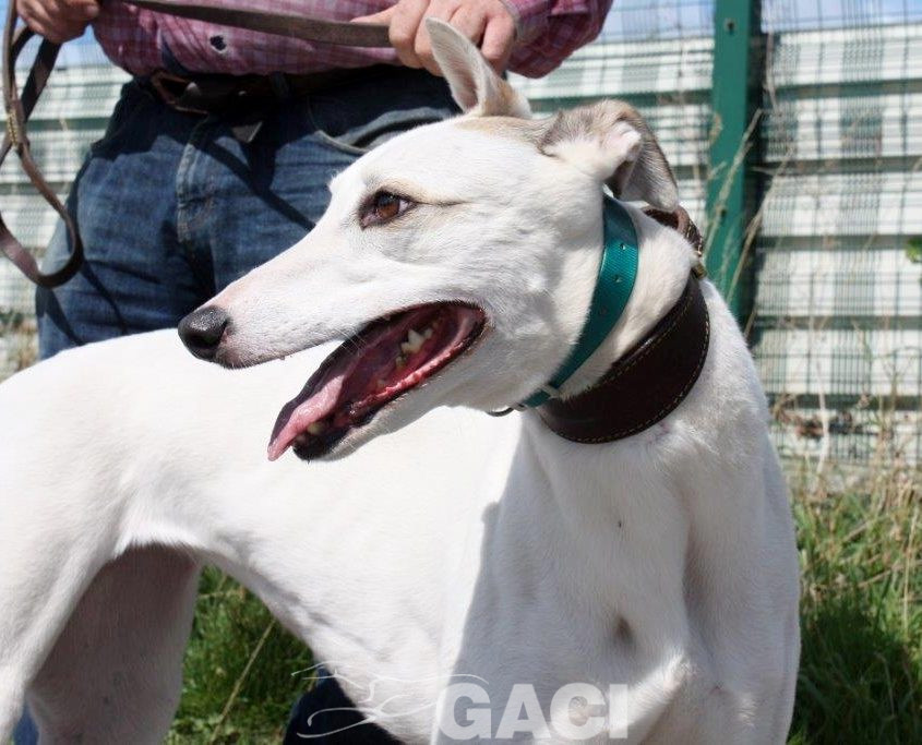 KATRINE- 01-02-2015 - F (1)