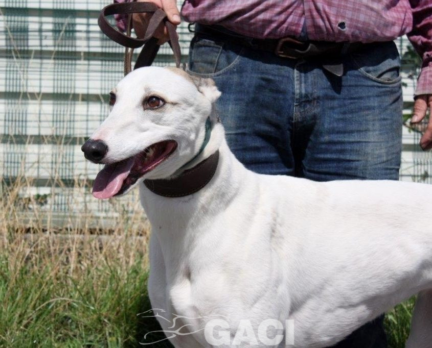 KATRINE- 01-02-2015 - F (10)