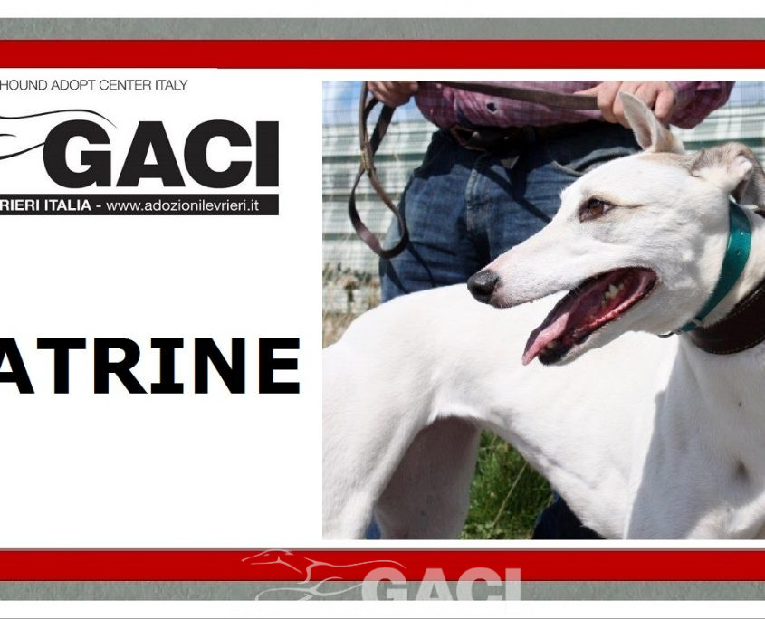 KATRINE- 01-02-2015 - F (11)