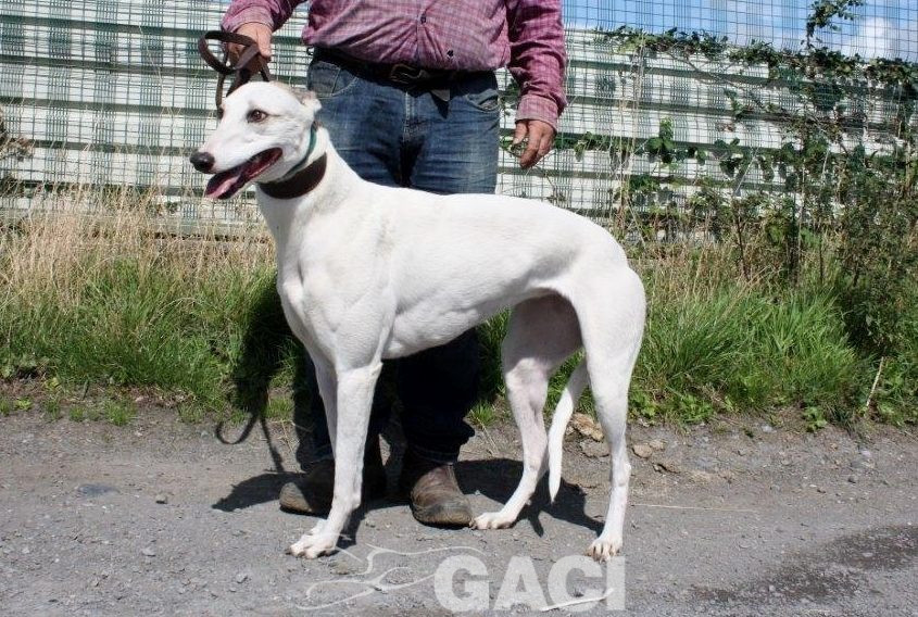 KATRINE- 01-02-2015 - F (3)