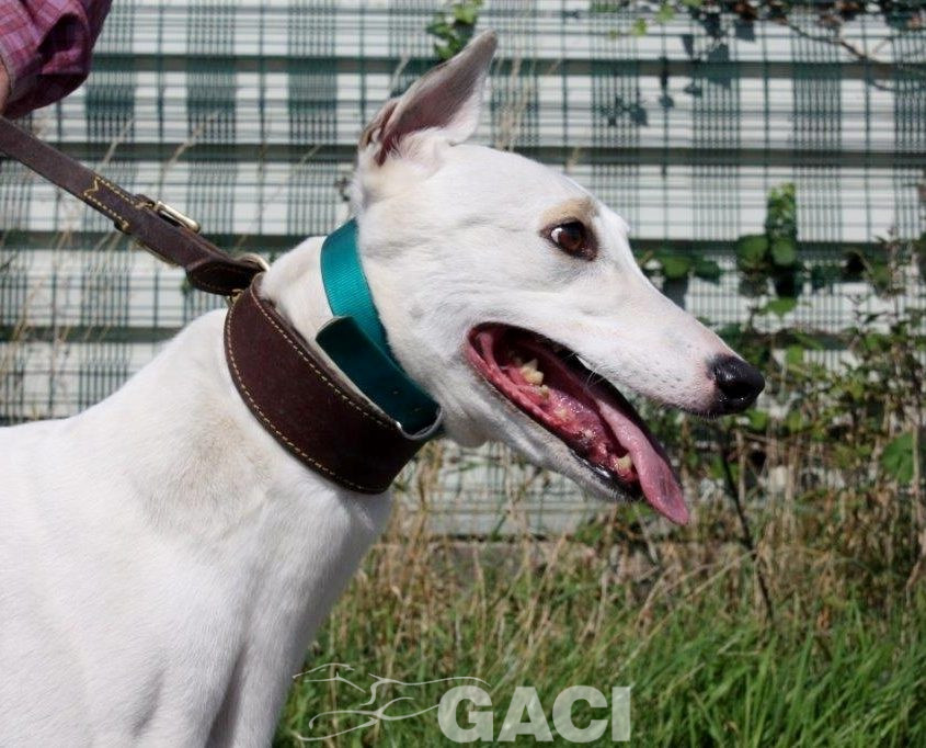 KATRINE- 01-02-2015 - F (4)