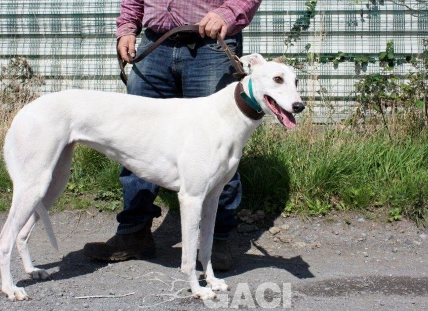 KATRINE- 01-02-2015 - F (5)