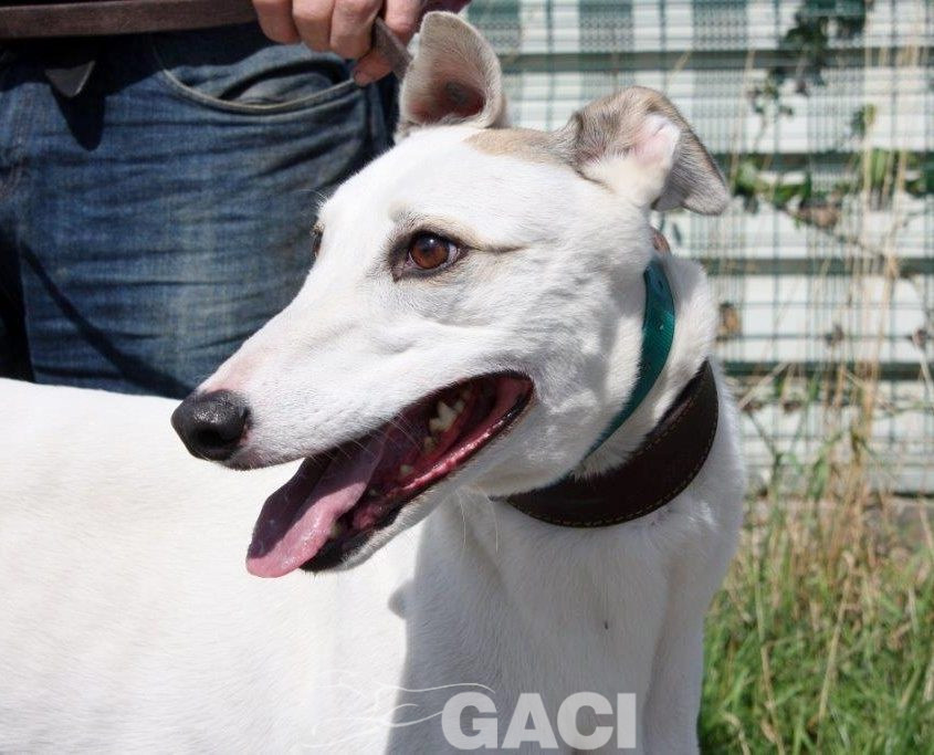 KATRINE- 01-02-2015 - F (6)