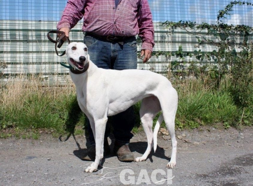 KATRINE- 01-02-2015 - F (7)