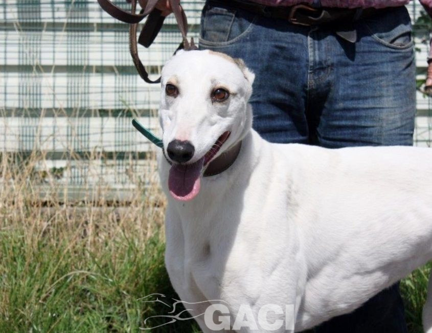 KATRINE- 01-02-2015 - F (8)