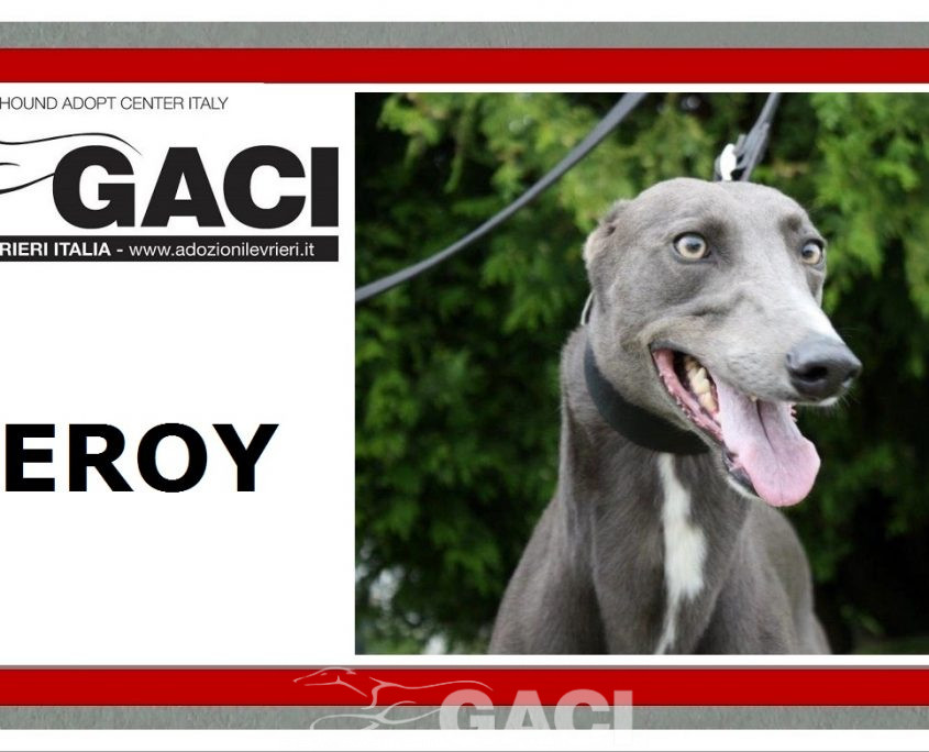 LEROY- 07-08-2015 - M (11)