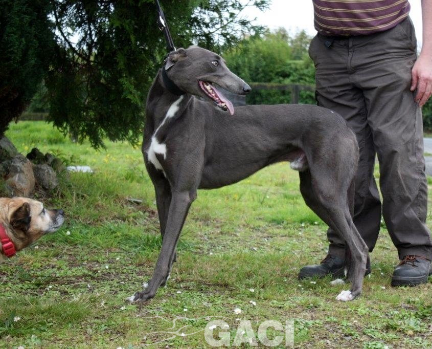 LEROY- 07-08-2015 - M (2)