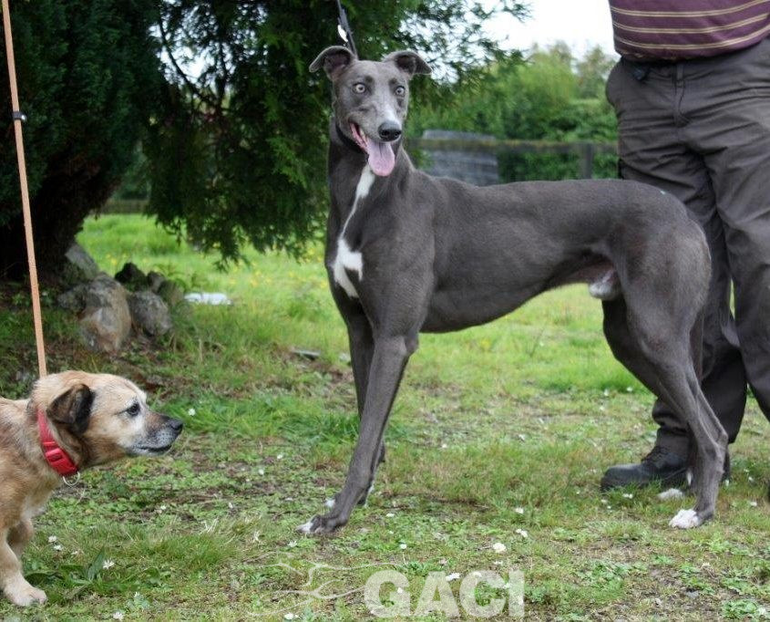 LEROY- 07-08-2015 - M (8)