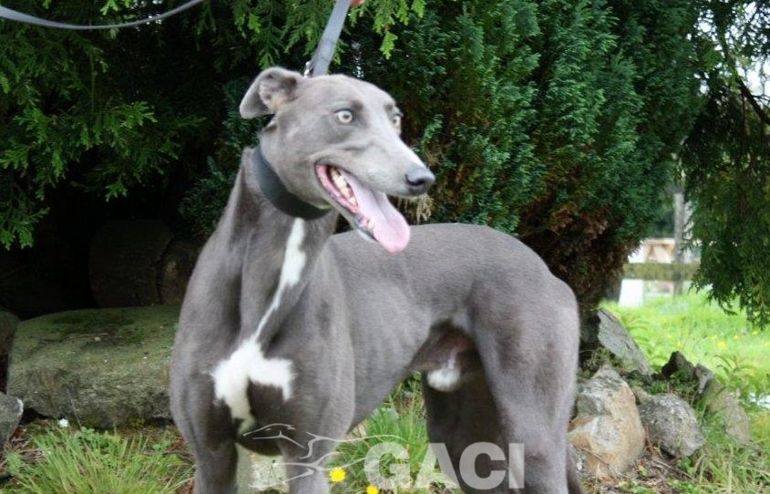 LEROY- 07-08-2015 - M (9)