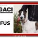 RUFUS-Greyhound-M-(11)