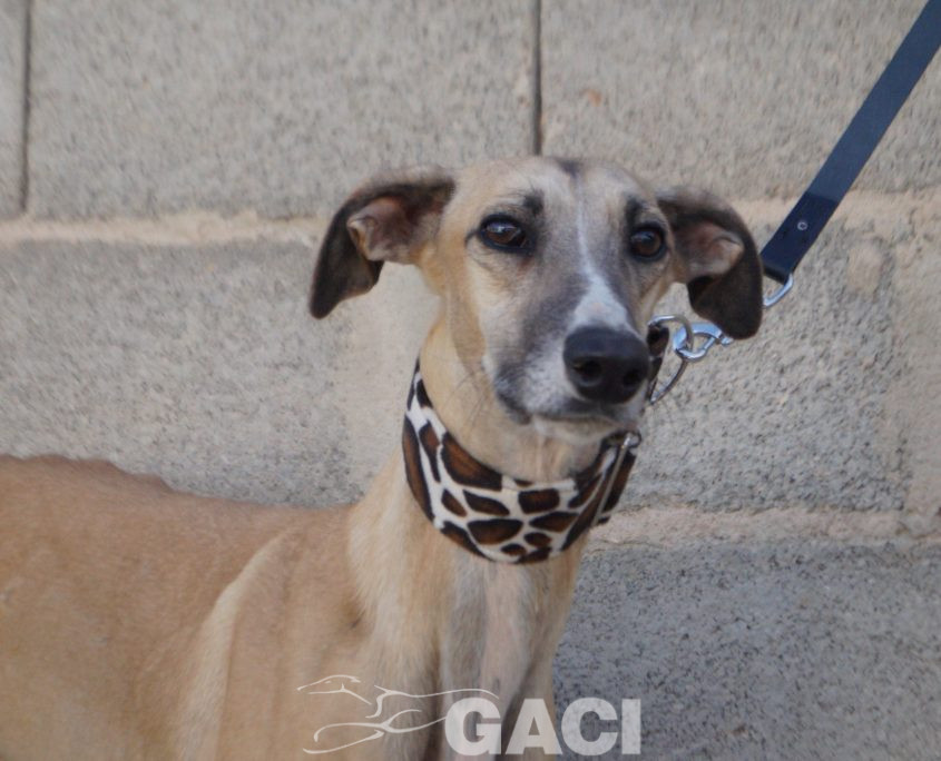 JIMENO NUEVAS FOTOS (13)