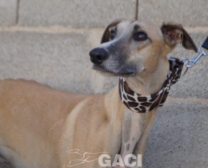 JIMENO NUEVAS FOTOS (14)